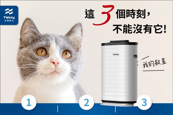 IG 廣告用組圖包