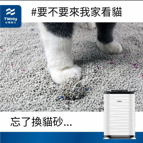 IG 廣告用組圖包